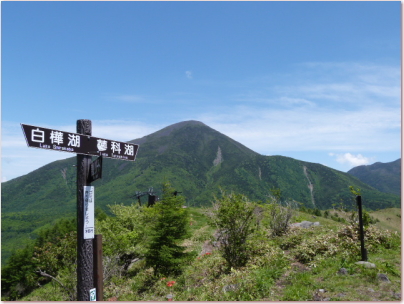 東急トレッキングコースの看板
