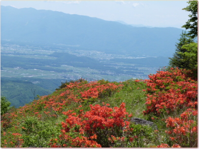 東急トレッキングコースからの眺望