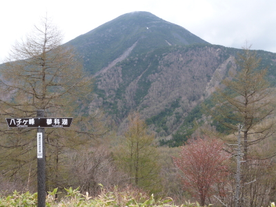 八子が峰