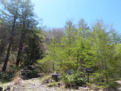 東急トレッキングコース画像