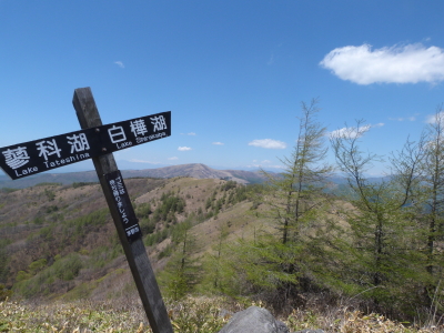東急トレッキングコース画像