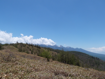 東急トレッキングコース画像
