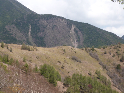 東急トレッキングコース画像