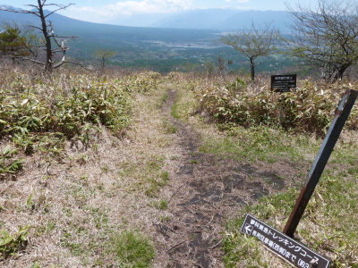 東急トレッキングコース画像