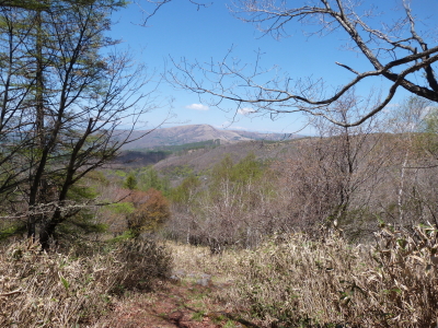 東急トレッキングコース画像