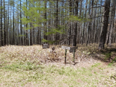 東急トレッキングコース画像