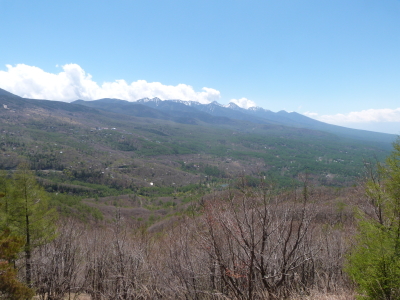 東急トレッキングコース画像